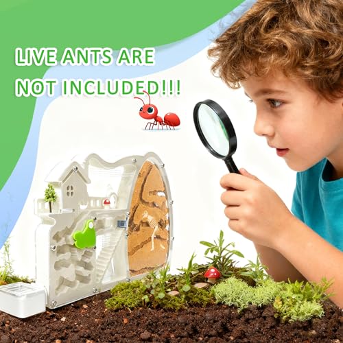 Ant Farms with Forage Box, Large Sand Ant Colony Observation Kit
