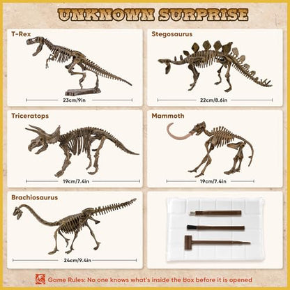 VIBIRIT Dig Up Dinosaurs Skeleton Set,Dinosaur Digging Fossil Kit Model Toys,Excavation Kits for kids5-12year,Educational Realistic Toys for Kids,Boys,Girls - style: Random