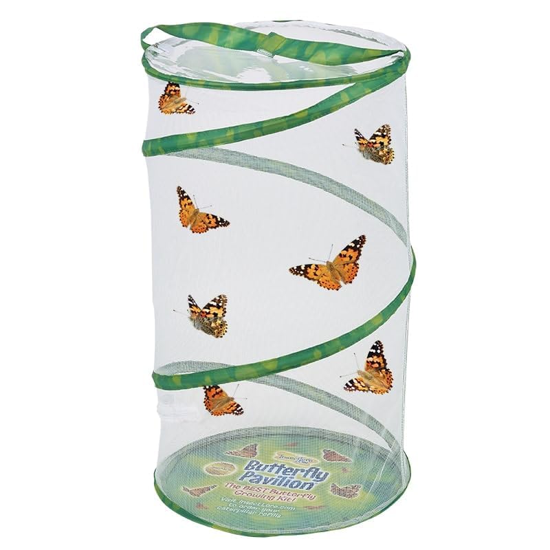 Insect Lore School Kit Refill with 33 Live Caterpillars - STEM Activity Journal & 33 Live Baby Painted Lady Butterfly Caterpillars - Cups & Tools Included - style: Refill For School kit 33