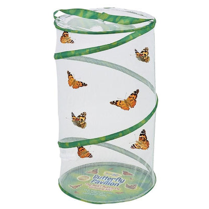 Insect Lore School Kit Refill with 33 Live Caterpillars - STEM Activity Journal & 33 Live Baby Painted Lady Butterfly Caterpillars - Cups & Tools Included - style: Refill For School kit 33