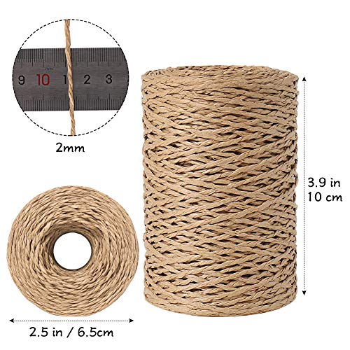 Tenn Well 328ft 2mm Paper String Raffia Ribbon for Gift Wrapping