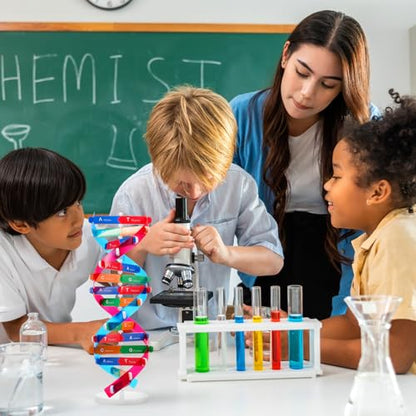 NUOBESTY DNA Model Kit Double Helix Structure Model, 13 in Assembling Biology Teaching Aid with Stand, Color-Coded Base-Pairing A-T G-C, STEM Classroom Science Fair Display for Ages 12+ (Pack of 2) - size: 37.00X11.60X11.60CM (Pack of 2)