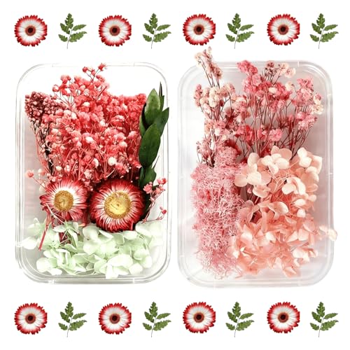2PCS Dried Flowers Kit, Natural Dried Flowers Kit for DIY Crafts, Scrapbook, Card Making (Style_5_34) - color: Style_5_34