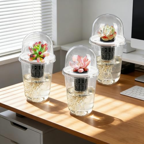 Clear Hydroponic Nursery Pots with Humidity Domes & Rrow Sponge 6-Pack