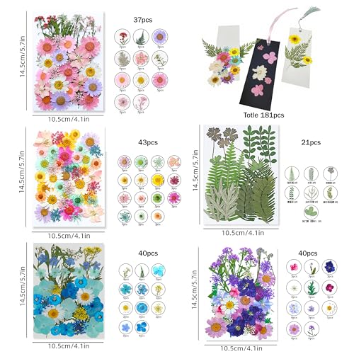 Bakayoyo 451 pcs DIY Dried Pressed Flowers Bookmark Making Kit, DIY Paper Book Mark Bulk Craft Supplies for Book Lovers,Reading Women, Classroom& Ideal Gifts for Teachers Students Friends