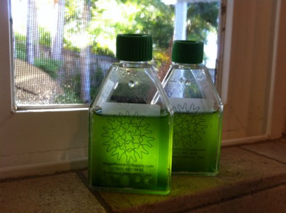 Algae Research Supply Algae Culture Kit Spirulina, Perfect for School Science Fairs/Projects, Experiments & Classrooms