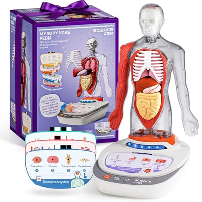 Science Can Human Body Model for Kids, Interactive Anatomy Learning Toys
