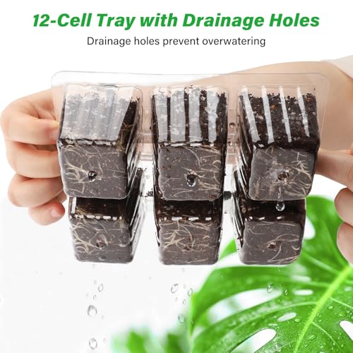 Bonviee 10-Pack Seed Starter Trays, 6-Cell Insert Trays, Clear - color: Clear, size: 60 XL Cells