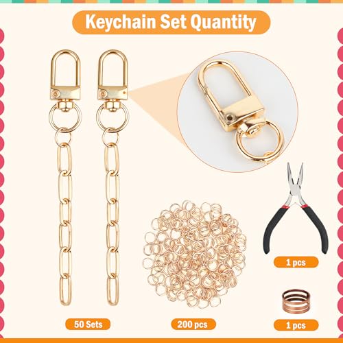 Starry 252Pcs Keychain Making Kit 50 Set Keychain Clips DIY Bag Charm Kit with Extender Chain Bulk 200 Jump Ring for Jewelry Bags Accessories DIY Craft Supplies - style: 50 Set