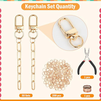 Starry 252Pcs Keychain Making Kit 50 Set Keychain Clips DIY Bag Charm Kit with Extender Chain Bulk 200 Jump Ring for Jewelry Bags Accessories DIY Craft Supplies - style: 50 Set