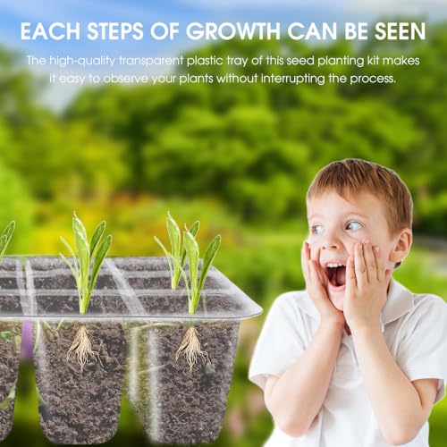12 Hole Seedling Box with Ventilation Hole Breathable Adjustable Mini Greenhouse Gardening Plant Seedling Box,19x14.5x11cm (Green) - color: Green