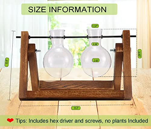 Kingbuy Glass Desktop Planter with Retro Wooden Stand, 2 Bulbs - size: 2 Bulb Vase