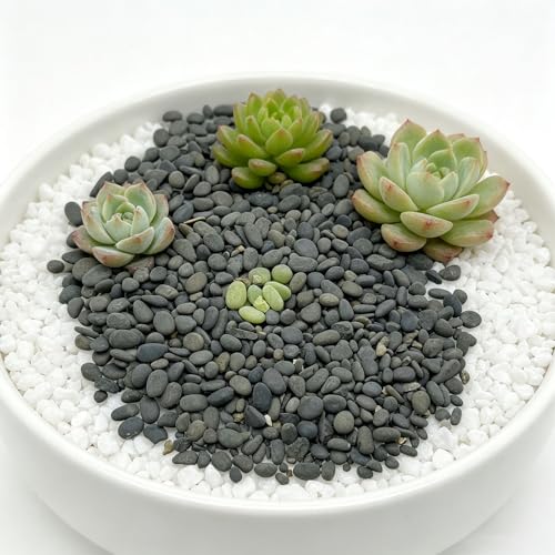 Miniature Rock Basing Kit Miniature Rock Landscape Rocks DIY Terrain Model Kit Basing Kit for Terrain Scenery Landscape Model Railroad Sand Table Material, Gray - color: Gray