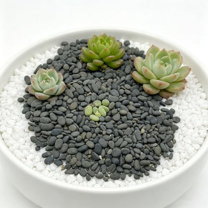 Miniature Rock Basing Kit Miniature Rock Landscape Rocks DIY Terrain Model Kit Basing Kit for Terrain Scenery Landscape Model Railroad Sand Table Material, Gray - color: Gray