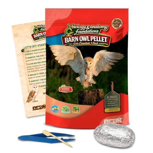 Barn Owl Pellets for Dissection, Solo Essentials Kit, Small 1-Pack by OBDK - size: Small (1.0 to 1.5 inches)