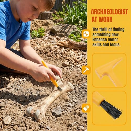 10 Set Excavation Tool Kit: Dino Fossils Dig Kit for Kids, Bulk Archaeology Dig Tools with Mini Hammer Chisel and Brush for Fossil Gem Digging, Science Toy