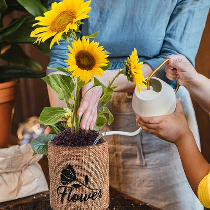Indoor Daisy Garden Starter Kit, 4 Flower Seeds Growing into Shasta Daisy, Cornflower, Sunflower, Zinnia, Including Complete Gardening Tools for Women Men & Beginners