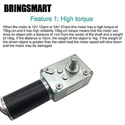 BRINGSMART 12V 16rpm DC Worm Gear Motor Self-Locking Mini Engine Turbine - size: 12V 16rpm