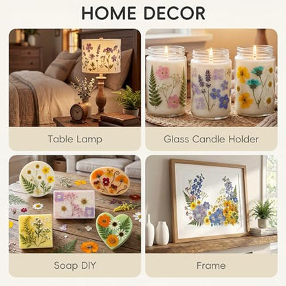 LUXEEASE 4 Color 110P Long Stem Dried Pressed Flowers - color: 4-color Long Stem 110p