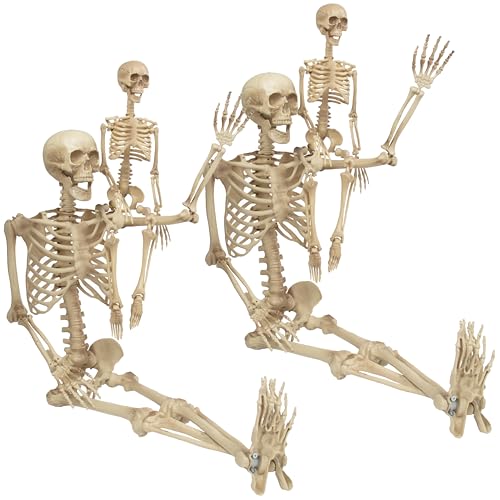 Life Size Human Skeleton Decoration Value 4 Pack- Adult 5' 4" & Child 3' - style: 4 Pack