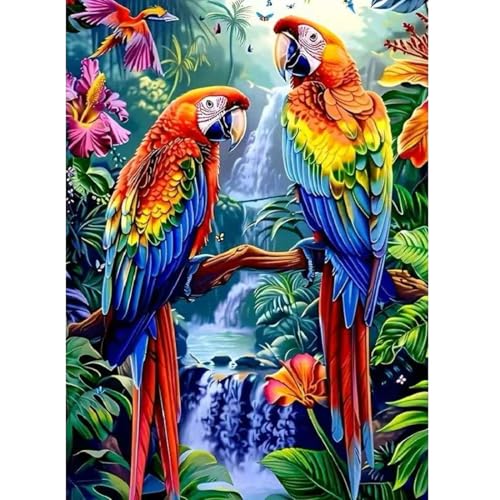5D Bird Diamond Art Painting Kits for Adults, Animal Parrot Full Drill Diamond Painting Kits for Beginner,DIY Round Diamond Dots Painting Art Kits for Adults Gem Art Home Wall Decor 12 X 16 inch - color: SH122