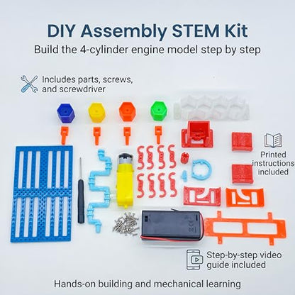 4-Cylinder Engine Model Kit for Kids 8-14, STEM DIY Assembly with Pistons