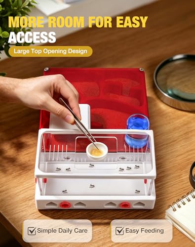 Ant Terrarium Kit, Ant Habitat with Large Viewing Window, 3D Printed Escape Resistant, Red Cover, Water Tower, 3 Expansion Ports and Spacious Foraging Area for Ant Keeping Beginners & Hobbyists