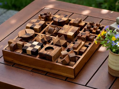 BSIRI 16 in 1 Wooden Brain Teaser Puzzles for Adults and Seniors Interlocking 3D Mini Wood Mind Games Hand Puzzle Teasers Set Toys Coffee Table Games Gift - style: 16 Puzzle Set
