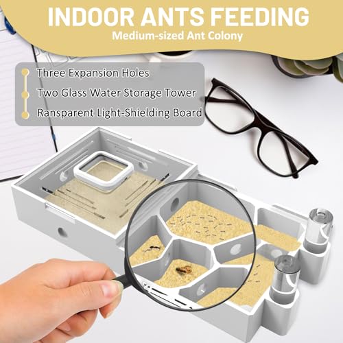Nest Farm for Live Ants and Queen - Ant Farms with Yellow Sand Observation Transparent Ant Farm for Adults 3D Printed Nest Ant Workshop Castle Ant Garden Queen (Kit-A) - style: Model-A