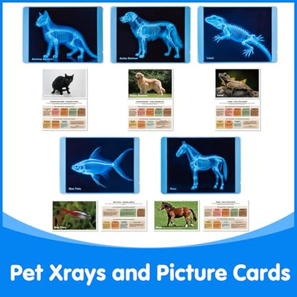 Pet Series Animal Xrays for Kids - Light Table Manipulatives - style: Pet Series