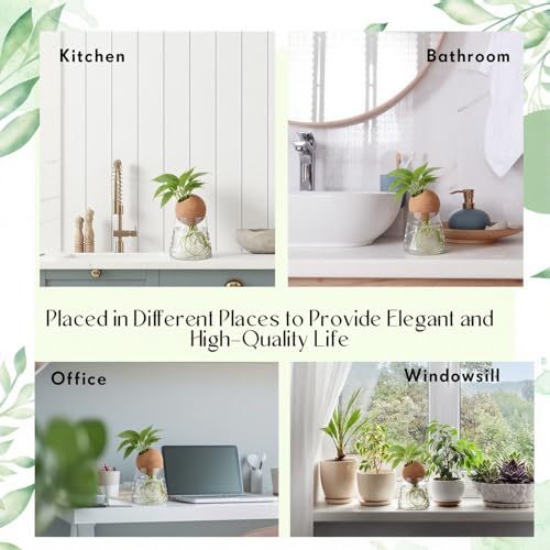 Baderke 3 Pcs 3.15 Inches Glass Plant Propagation Stations with Spherical Lid Glass Jars Plant Propagation Vases Hydroponic Spherical Cork Planter for Indoor Home Office Desktop Decor(Conical) - size: 3.15 Inches, style: Conical