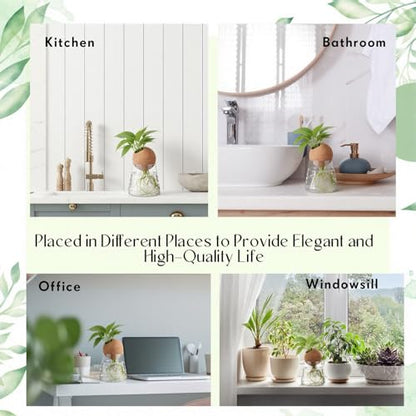 Baderke 3 Pcs 3.15 Inches Glass Plant Propagation Stations with Spherical Lid Glass Jars Plant Propagation Vases Hydroponic Spherical Cork Planter for Indoor Home Office Desktop Decor(Conical) - size: 3.15 Inches, style: Conical