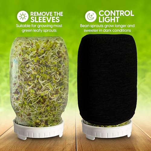 Sprouting Jar Kit - 2 Wide-Mouth Mason Jars with Stand and Sprout Lids - color: Sprouts Growing Kit & Green Onion Regrower