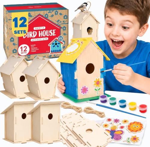 Neliblu DIY 12 Wooden Bird House Kits - Creative Arts and Crafts Set for Adults - Unfinished Wood Birdhouses with Paint Strips, Brushes, Stickers and Strings - 3 Unique Shapes, 2 Sizes