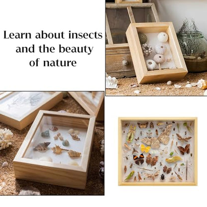 Saihisday Insect Display Case Box Small Bug Display Case Shadow Box