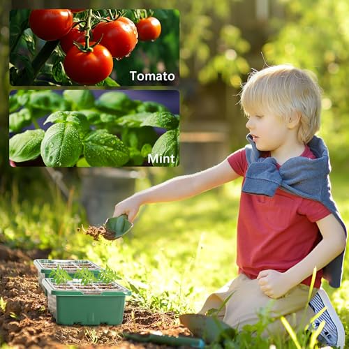 Bonviee 10-Pack Seed Starter Trays, Tall Dome, Base, 12-Cell Tray, Green - color: Green, size: 10 Packs