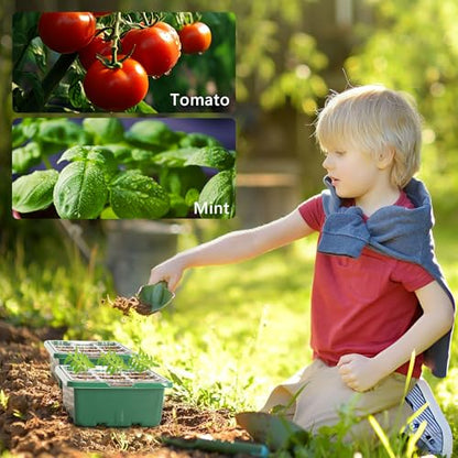 Bonviee 10-Pack Seed Starter Trays, Tall Dome, Base, 12-Cell Tray, Green - color: Green, size: 10 Packs