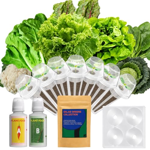 LYKOCLEAN Salad Seed Pods Kit for AeroGarden, Ahopegarden - Includes American Fast Lettuce, Paris Island cos Lettuce, Buttercrunch, Spinach, Swiss Chard, Cabbage, Cauliflower, 7 pods, 350+ Seeds - color: Salad, size: 7pods