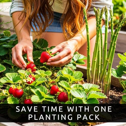 Asparagus & Strawberry Grow Kit – 20 Plants, 2 Asparagus Varieties & 2 Strawberry Varieties – Mary Washington, Purple Passion, All Star, Seascape – Easy Home Gardening