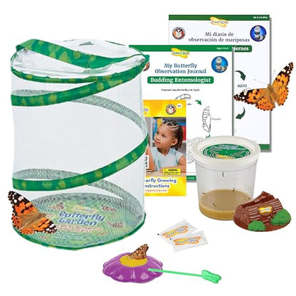 Insect Lore Butterfly Garden with Live Cup of Caterpillars | English and Spanish STEM Activity Journals | 5 Painted Lady Butterfly Baby Caterpillars and Mesh Habitat - style: 1 Cup