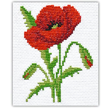 Povitrulya Red Poppy - Counted Cross Stitch kit for Hand Embroidery - DIY Easy Flower Set for Adult Ors - color: Red poppy