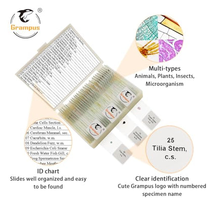 30 Prepared Microscope Slides with Specimens for Kids Students - Animals Plants Insects Microorganism, for Biological Science Lab, Children's Science Education, Homeschool - style: 30PCS Mixed