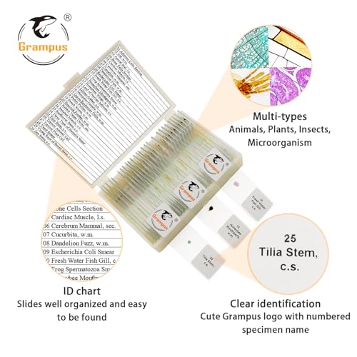 30 Prepared Microscope Slides with Specimens for Kids Students - Animals Plants Insects Microorganism, for Biological Science Lab, Children's Science Education, Homeschool - style: 30PCS Mixed
