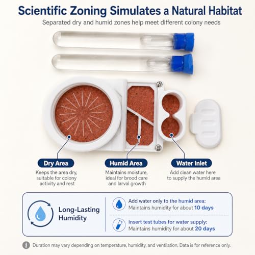 Beginner Ant Nest with Foraging Area and Humidity Zone, Dry Wet Separation Plaster Chamber, Fits 15mm Test Tubes, for Small to Medium Ant Colonies - size: Starter Kit