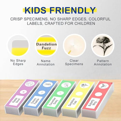 60pcs Prepared Microscope Slides for Kids, Microscope Specimen Slides with Plants Insects for Biology and Science Study, Microscope Accessories Slides Set for Kids - size: 60pcs