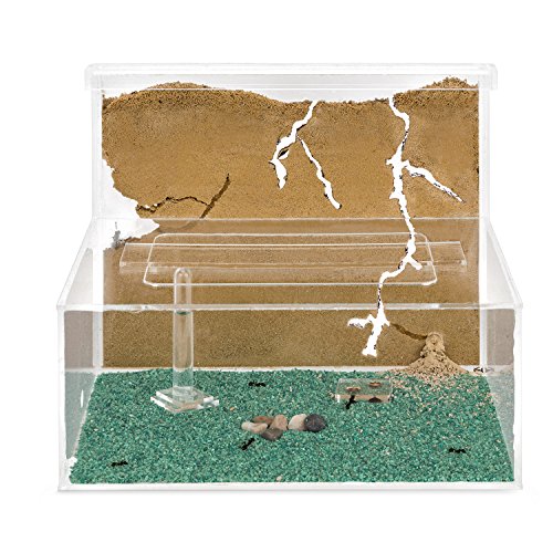 Sand Ant Farm L (Formicarium (Anthill, Formicarium, Educational, Ants)