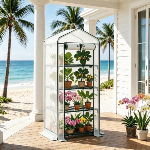 4‑Tier Mini Greenhouse, Small Walk‑in Green House, White - color: White, size: Small