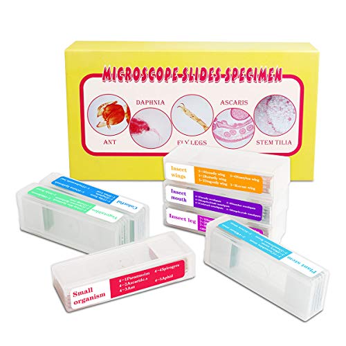 35PCS Prepared Microscope Slides with 7 Types Specimens, Insect/Plant Glass Sample Slide for Kids Adults Family Preschool Education Scientific Enlightenment - color: 35PCS
