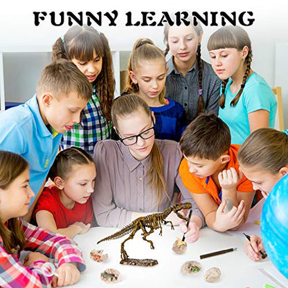 Dinosaur Fossil Digging Kit for Kids, Eggs Excavation Dig Kit, Toys for Kids 5-7 8-12, Great Birthday for Boys and Girls - style: 6 Dino Eggs+A T-Rex Head+A Dino Skeleton