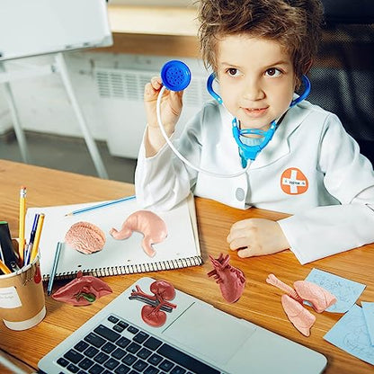 8PCS Mini Human Body Model for Kids